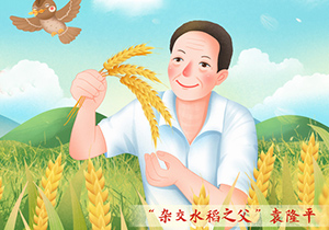《袁隆平》電影觀后感---了解一個(gè)時(shí)代的偉人