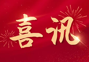 砥礪奮進(jìn),再譜新篇—熱烈祝賀施奈仕榮獲廣東省“專精特新”榮譽(yù)稱號(hào)