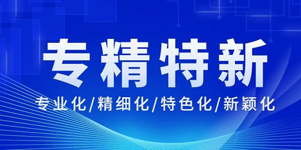 榮譽(yù)稱號(hào),專精特新企業(yè),企業(yè)榮譽(yù)